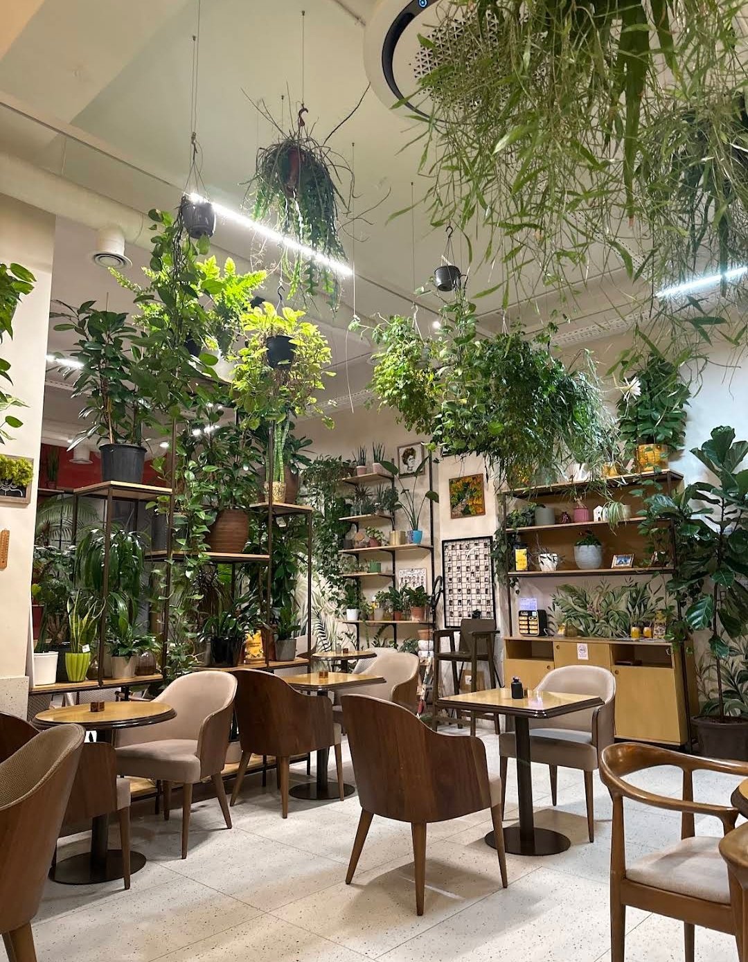 Cafe Botanist - Caspian Plaza — Daxili