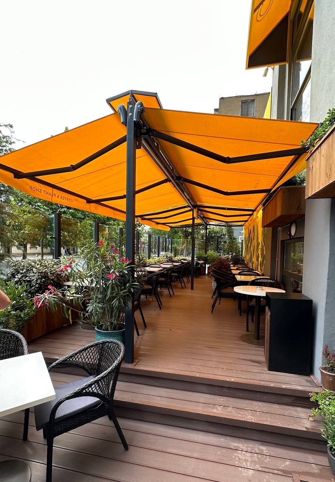 Cafe Botanist - Caspian Plaza — Daxili