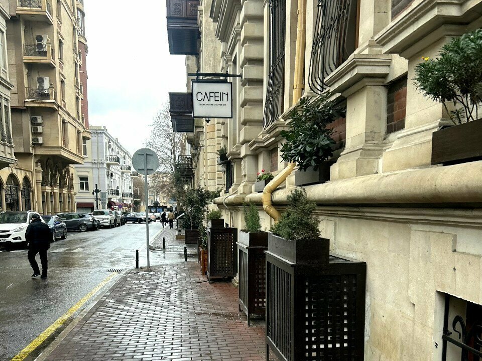 Cafein — Xarici görünüş