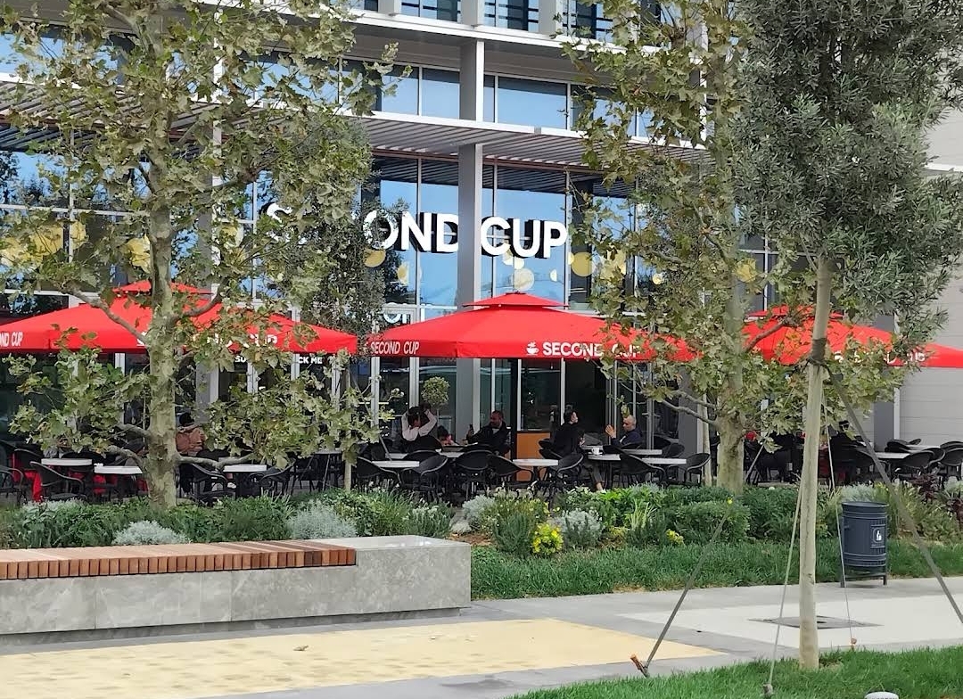 Second Cup (Ağ şəhər) — Xarici görünüş