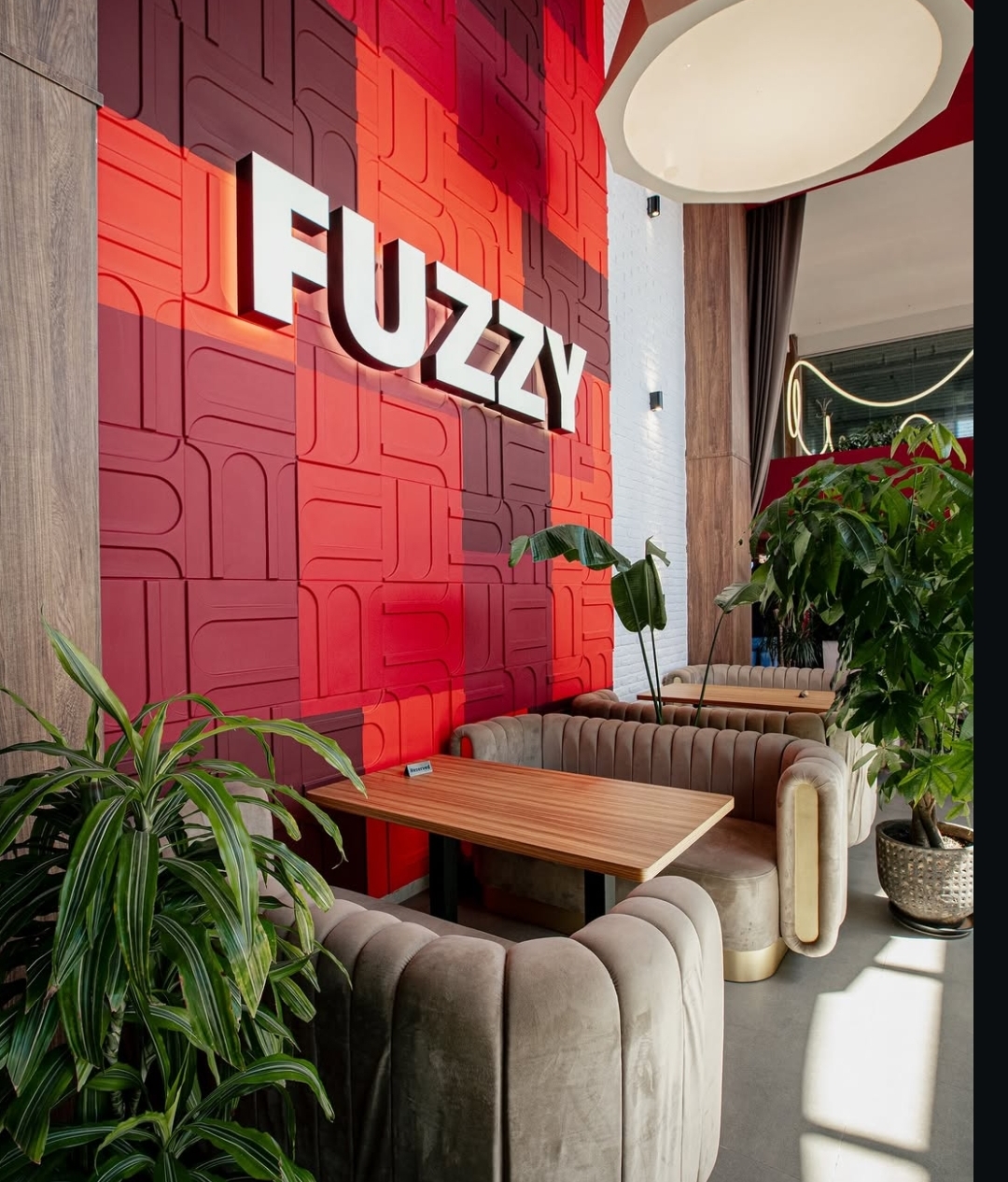 Fuzzy Coffee and Wine — Daxili