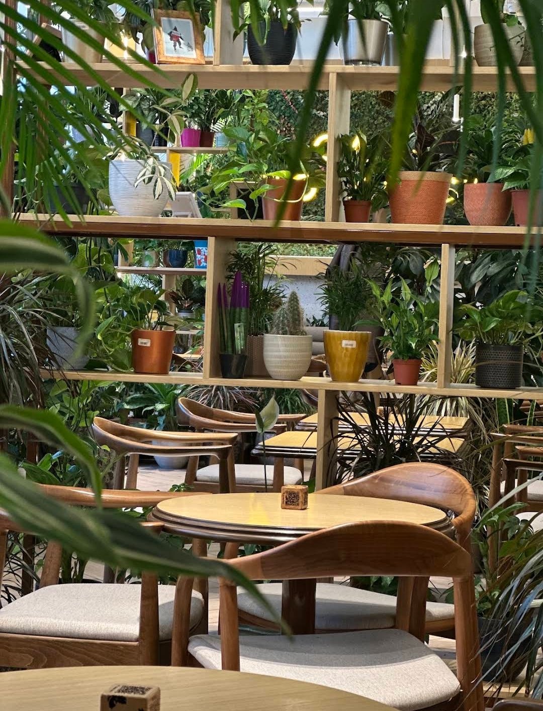 Cafe Botanist - Azadlıq — Daxili