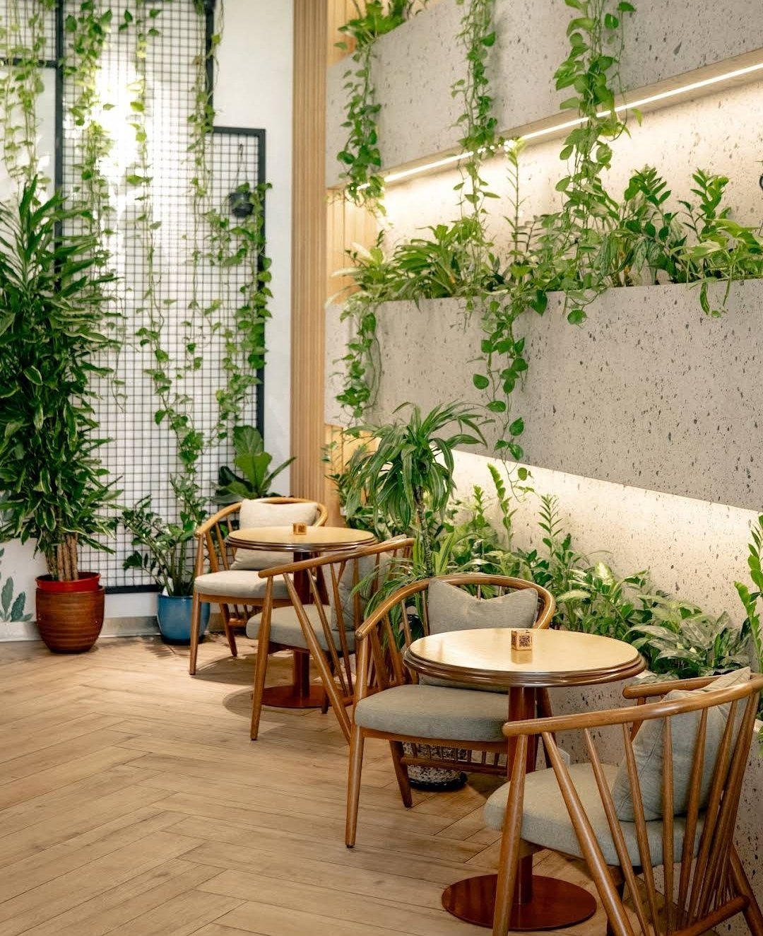 Cafe Botanist - Azadlıq — Daxili